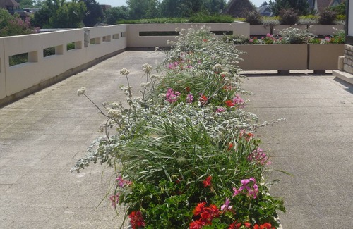 Cabourg Apartment | On the edge of the Marcel Proust promenade, large south-facing T2, 700 m from the casino.