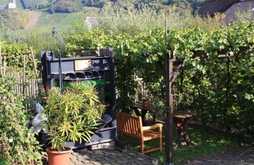 Kues Apartment | On the vineyard - Apartment Gisela Mendgen - 2-bed apartment
