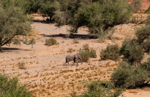 Kunene Cabin | Ondjamba Hills