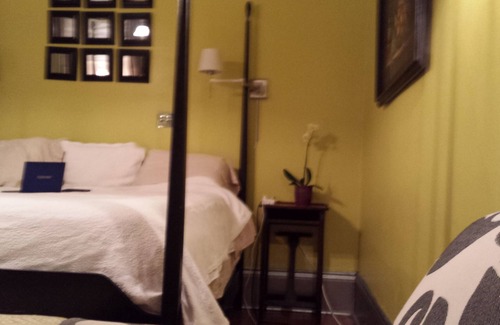 Audubon Apartment | One bedroom apt near Tulane and Loyola