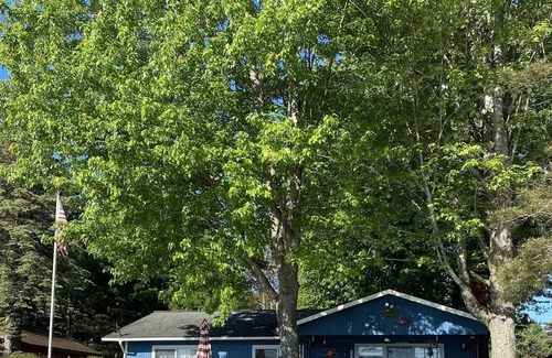 Central Lake Cottage | One Polski Cottage on Intermediate Lake