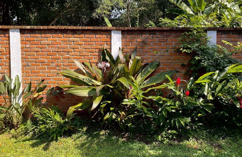 Fluvial Vallarta House | Only 6 km south of Puerto Vallarta the Dragon Fly House is located in Nogalito