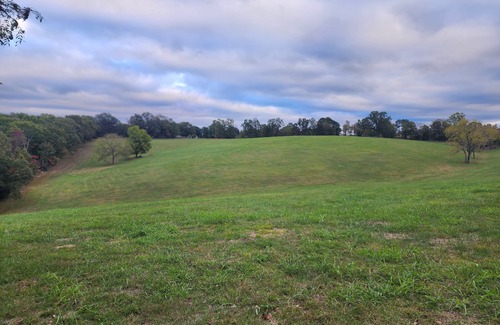 Saint Joe RV Rental | Open Field for camping and star gazing. No amenities or services are provided.