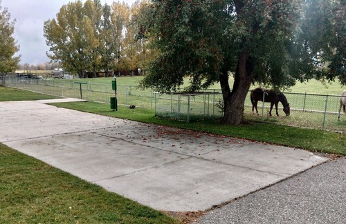 Edgar Apartment | Open Spaces, Dog and Horse friendly.