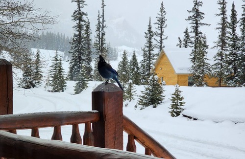 Lake City Condo | OPEN YEAR ROUND ON THE ALPINE LOOP - Lake San Cristobal - Nellie Gray #25