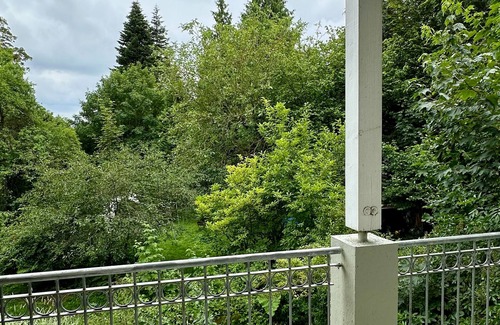 Bad Wilhelmshoehe Apartment | Orangery - Women's apartment with balcony at the Bergpark