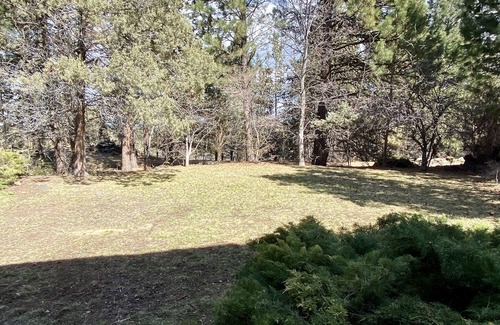 Orchard District House | Orchard District, Amazing Yard Next To Hollinshead Park w/Daylight Basement w/Billiards