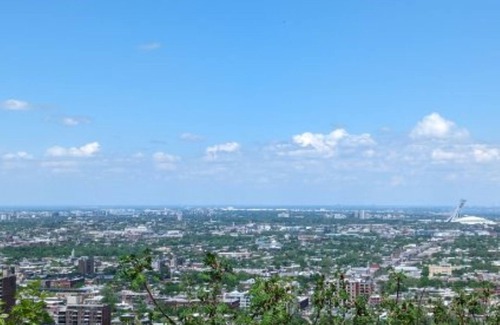 Plateau Mont Royal Apartment | Orchid Lodgement Montreal
