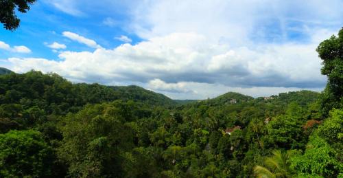Anniwatta Bed & Breakfast | Orchid Villa Kandy