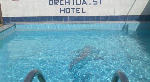 Aswan Hotel | Orchida St. George Hotel