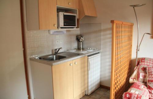 Chatel Apartment | Orchidee OD8 NATURE & TELECABINE 4 pers