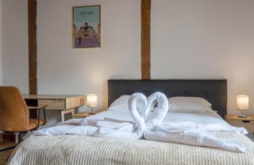 Bourgogne Apartment | ORLEANS CENTRE HISTORIQUE - Charmant T2 - L'EVASION ORLEANAISE