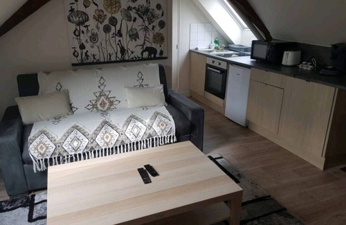 Bourgogne Apartment | Orléans superb T2 between theater and cathedral