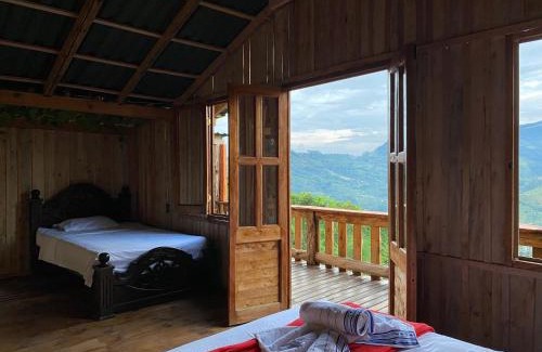 Jardin Other | Oro Verde Noche De Luna