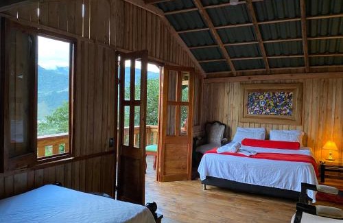 Jardin Other | Oro Verde Noche De Luna