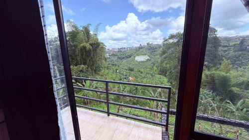 Sevilla Other | Orquídea