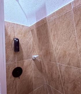 Sevilla Other | Orquídea