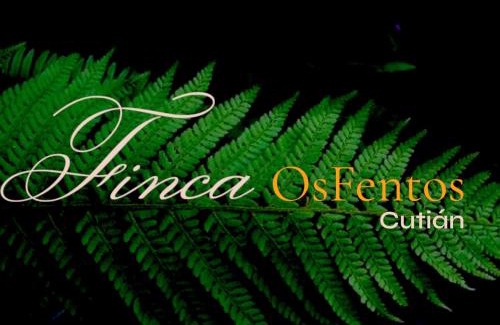 Chan Bed & Breakfast | Os Fentos