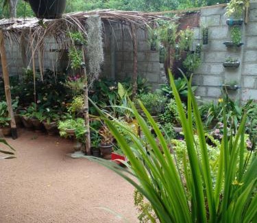Anuradhapura House | Ossa home stay