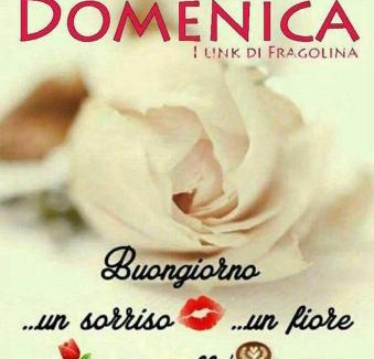 Cumignano sul Naviglio House | osteria il Becco Fine affittacamere