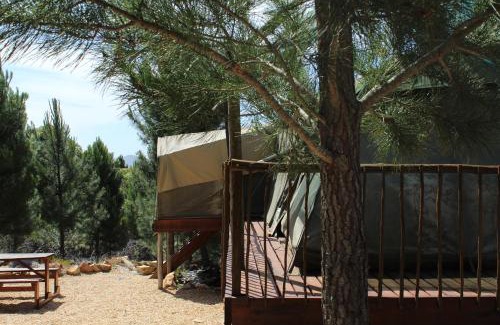Caledon Other | Otium Oasis Glamping & Camping