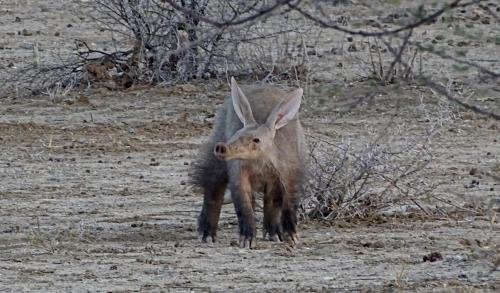 Omaruru House | Otjohotozu Guestfarm