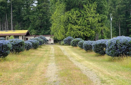 Denman Island House | Otter Lake B&B, Denman Island, BC, Canadanfamily friendly, coastal