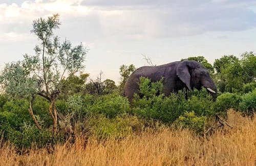 Hammanskraal Other | OuKlip Game Lodge
