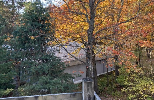 Claysburg Condo | Outdoor Adventures Await on Blue Knob