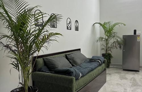 Jaipur House | Owee Stays Jaipur – Cozy 1BHK Homestay with Plants, Books & Modern Comforts