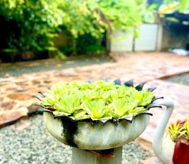 Unawatuna House | Owen Resort