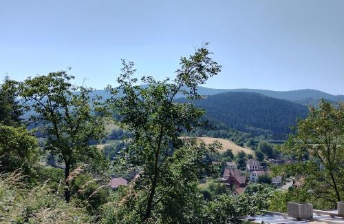 Sainte-Croix-aux-Mines House | Oyé