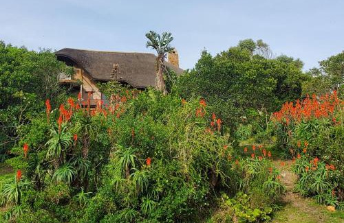 Oyster Bay House | Oysterbay Nature Retreat