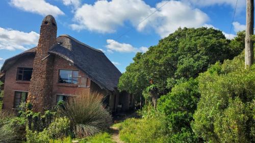Oyster Bay House | Oysterbay Nature Retreat