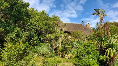 Oyster Bay House | Oysterbay Nature Retreat