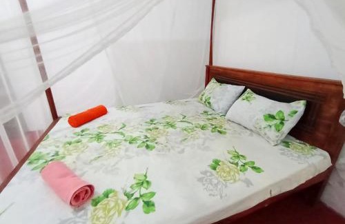 Midigama House | Ozone Resort Midigama