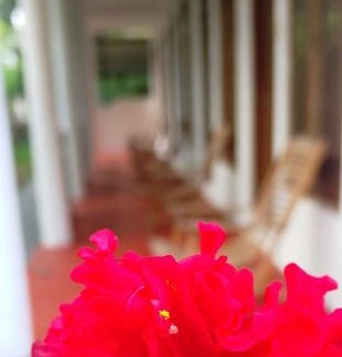 Midigama House | Ozone Resort Midigama
