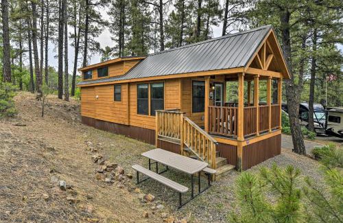 Pagosa Hills House | Pagosa Springs Tiny Cabin Fish, Hike, Ski and Soak!