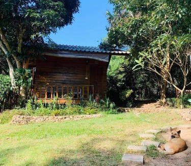 Pai House | Pai Yard Guest House