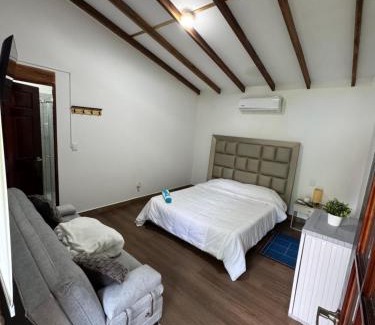 Palmira House | Paisaje natural padel