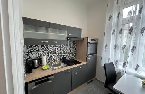 Hutteldorf Apartment | Paky Appartements 00210
