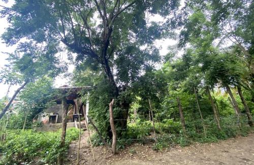 San Onofre Ski Chalet | Pal Mar our beach house