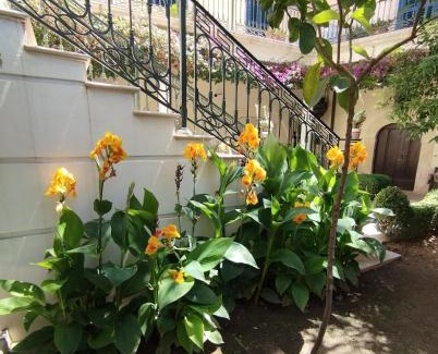 Canosa di Puglia Bed & Breakfast | Palazzo Rossi suite