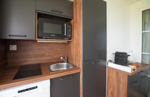 Gros Raisins Apartment | Palmélodie - Avec piscine et jacuzzi partagés