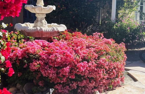 Palm Desert House | Palm Desert: Pool, BBQ, Garden, Firepit-Tranquil Old Hollywood Charm