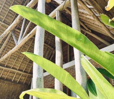 Kuta Resort | Palm Green Hotel