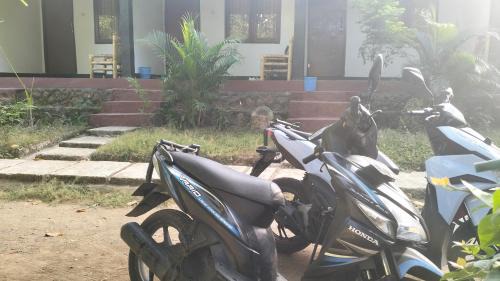 Kuta House | Palm Homestay Kuta