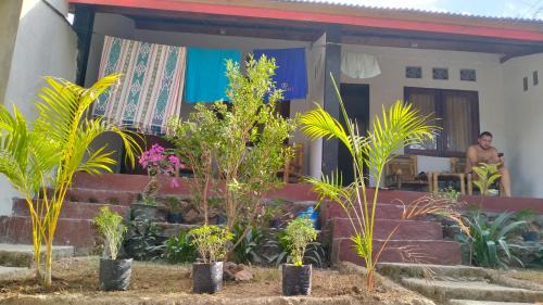 Kuta House | Palm Homestay Kuta