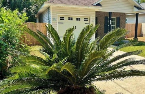 South Pensacola House | Palm House in Pensacola