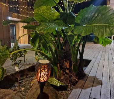 Paihia Hotel | Palm Tree Apartments & backpackers